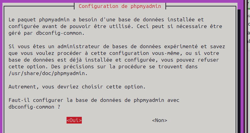 phpmyadmin